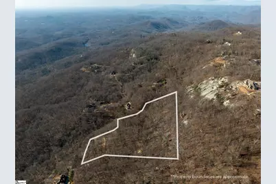 225 Lost Trail Drive, Landrum, SC 29356 - Photo 11