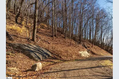 225 Lost Trail Drive, Landrum, SC 29356 - Photo 9