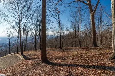 225 Lost Trail Drive, Landrum, SC 29356 - Photo 7