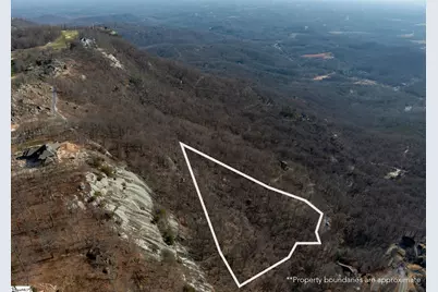 225 Lost Trail Drive, Landrum, SC 29356 - Photo 3