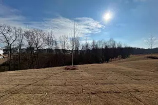 12 Stumphouse St, Greenville, SC 29607 - Photo 3