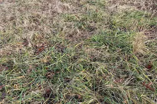 4826 Chesnee Hwy, Chesnee, SC 29323 - Photo 15