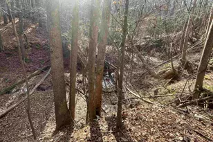 230 Gibson Rd, Spartanburg, SC 29302 - Photo 15