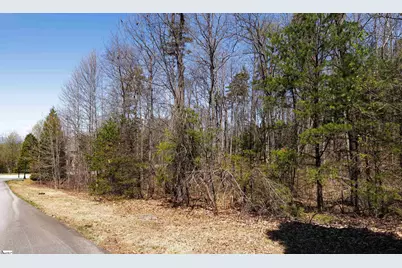 10 Donatello Court #Lot 94, Greenville, SC 29609 - Photo 9