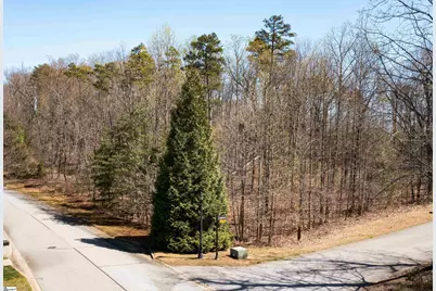 10 Donatello Court #Lot 94, Greenville, SC 29609 - Photo 19