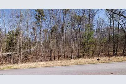 10 Donatello Court #Lot 94, Greenville, SC 29609 - Photo 15
