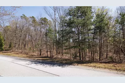 10 Donatello Court #Lot 94, Greenville, SC 29609 - Photo 17