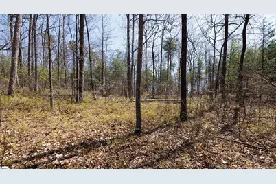 10 Donatello Court #Lot 94, Greenville, SC 29609 - Photo 13