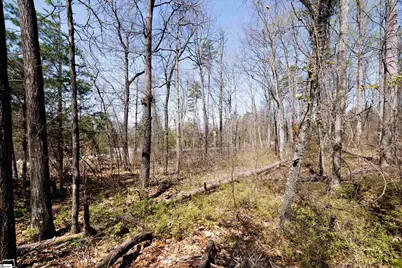 10 Donatello Court #Lot 94, Greenville, SC 29609 - Photo 11