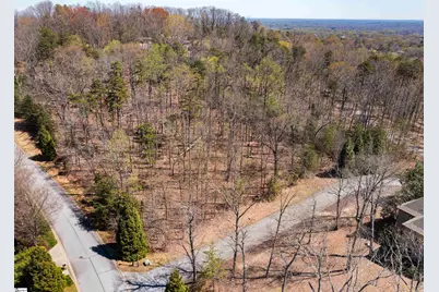10 Donatello Court #Lot 94, Greenville, SC 29609 - Photo 21