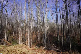 445 Brandy Ln, Pickens, SC 29671 - Photo 17