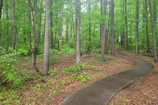 621 Lookover Dr, Anderson, SC 29621 - Photo 31