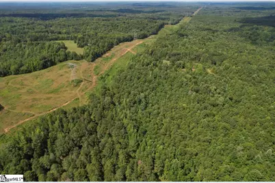 1560 Meansville Road, Union, SC 29379 - Photo 5