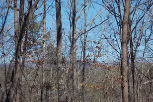 154 Bravo Trail, Pickens, SC 29671 - Photo 11