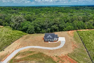 331 Dobbins Rd, Townville, SC 29689 - Photo 33