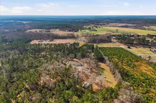 1191 Bush River Rd, Clinton, SC 29325 - Photo 31