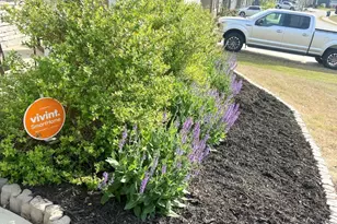 307 Bristle Fern Trail, Simpsonville, SC 29680 - Photo 39