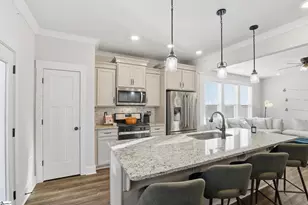 36 Meteora Way, Greenville, SC 29609 - Photo 9