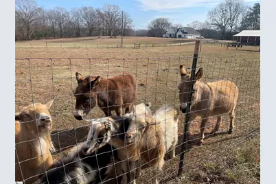 1739 Highway 418, Pelzer, SC 29669 - Photo 45