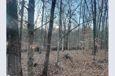 Hwy 221 N Greenwood Road, Laurens, SC 20360 - Photo 3