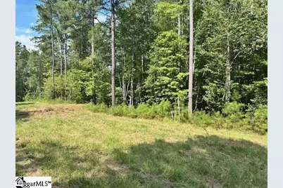 0 S J Workman Highway, Woodruff, SC 29388 - Photo 5