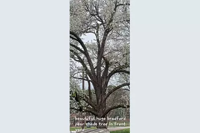 11 El Paso Drive, Greenville, SC 29617 - Photo 33