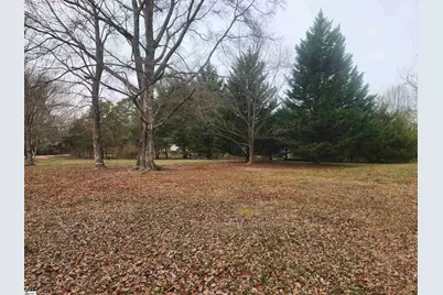 263 Babb Road, Campobello, SC 29322 - Photo 5