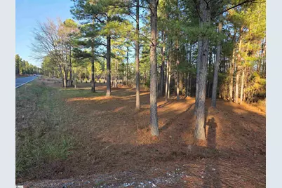 506 Trinity Church Road, Laurens, SC 29360 - Photo 1