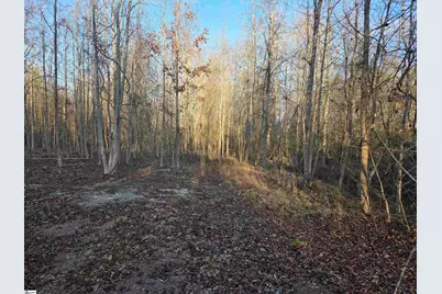 506 Trinity Church Road, Laurens, SC 29360 - Photo 11