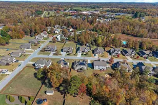 10 Meadowgold Ln, Greer, SC 29651 - Photo 49