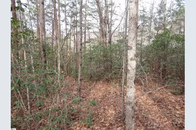 Lone Rock Court #Lot 10 Whispering Falls, Pickens, SC 29671 - Photo 7