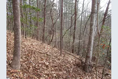 Lone Rock Court #Lot 10 Whispering Falls, Pickens, SC 29671 - Photo 11