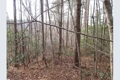 107 Lone Rock Court, Pickens, SC 29671 - Photo 15