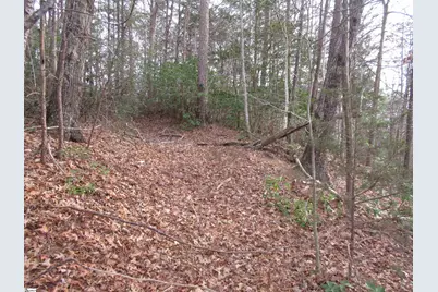 107 Lone Rock Court, Pickens, SC 29671 - Photo 7