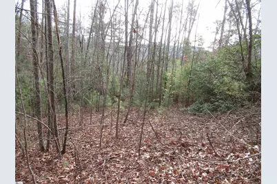 116 Fireside Lane, Pickens, SC 29671 - Photo 1