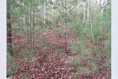 116 Fireside Lane, Pickens, SC 29671 - Photo 9