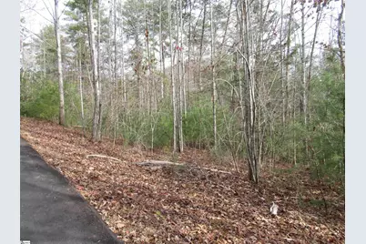 116 Fireside Lane, Pickens, SC 29671 - Photo 3