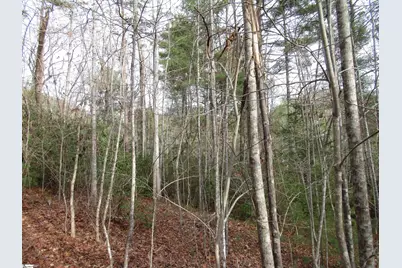 110 Fireside Lane, Pickens, SC 29671 - Photo 19