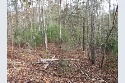 110 Fireside Lane, Pickens, SC 29671 - Photo 3