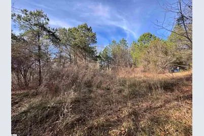 1816 Troy Road, McCormick, SC 29835 - Photo 13