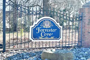 106 Plum Creek Ln, Greenville, SC 29607 - Photo 49