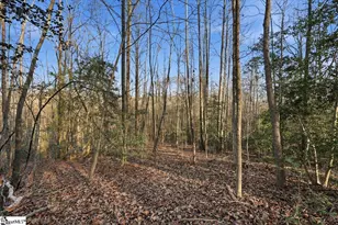 831 Neighborhood Rd, Wellford, SC 29385 - Photo 21