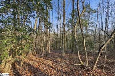 831 Neighborhood Road, Wellford, SC 29385 - Photo 31