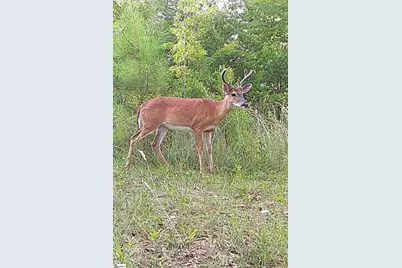737 Lowrys Road, Gaffney, SC 29340 - Photo 45