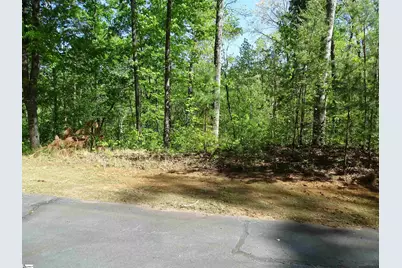 216 Gabriel Way, Pickens, SC 29671 - Photo 7