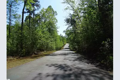 216 Gabriel Way, Pickens, SC 29671 - Photo 9