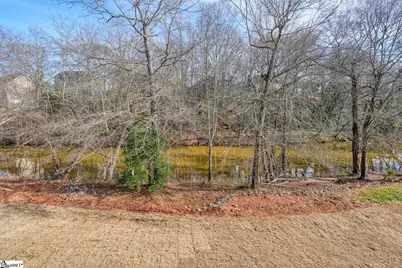 763 Enoree River Place, Greer, SC 29651 - Photo 47