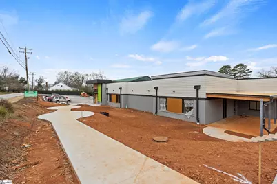 14 Chaney Street, Greenville, SC 29607 - Photo 21