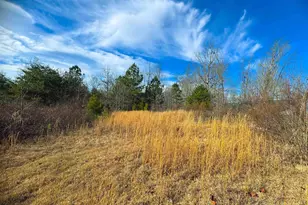 545 Edens Rd, Pickens, SC 29671 - Photo 13