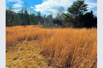 545 Edens Road, Pickens, SC 29671 - Photo 17